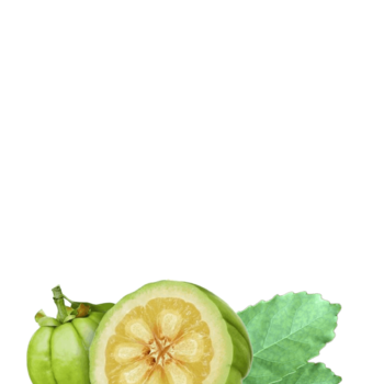 Plant extracts